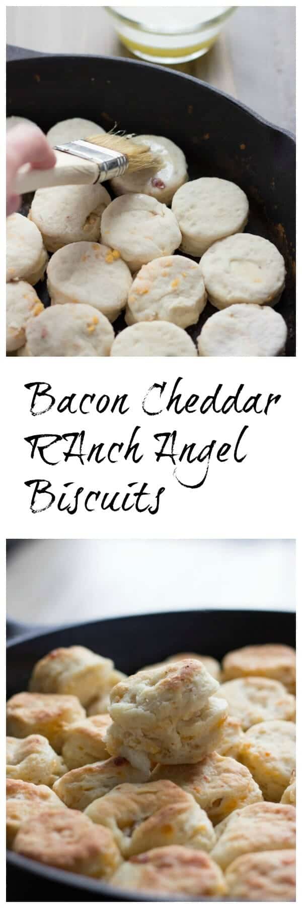 Bacon Cheddar Ranch Angel Biscuits - LemonsforLulu.com